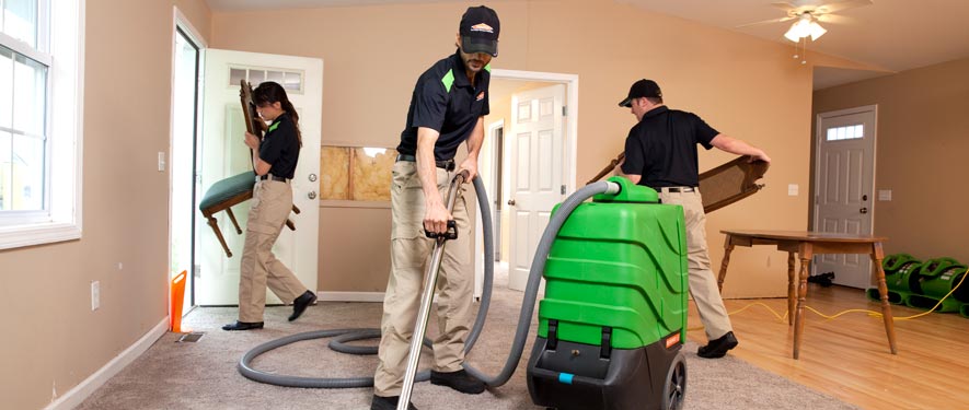 Mount Prospect, IL cleaning services