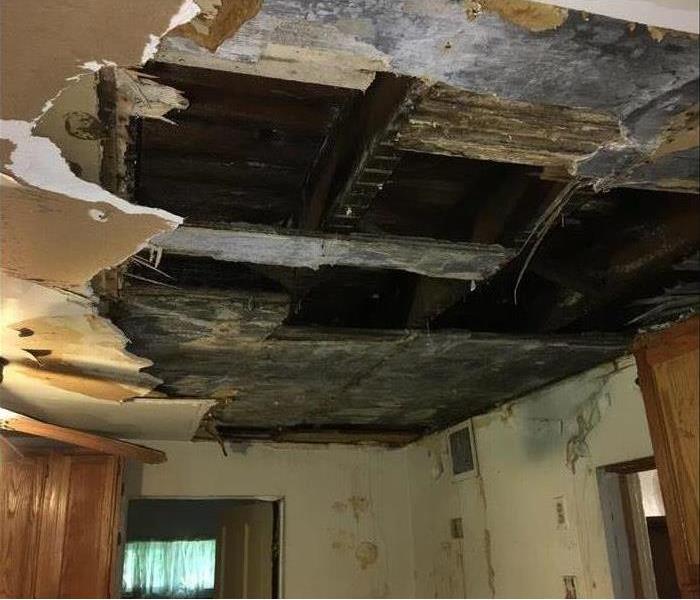 Burst pipe causes water and mold damage in ceiling