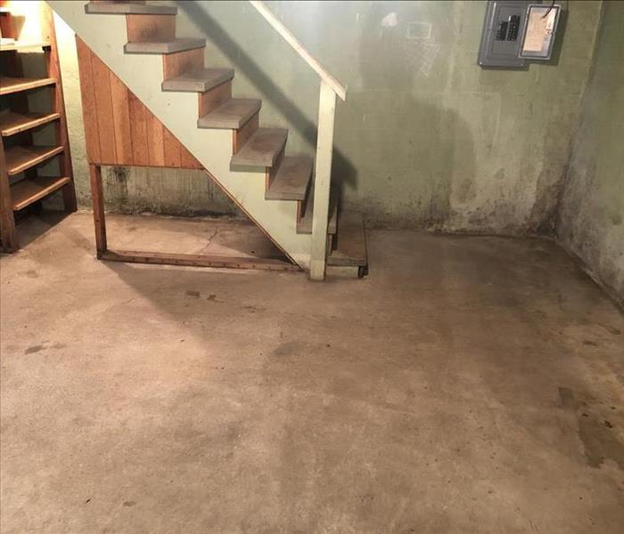Mold growth along the walls of a basement