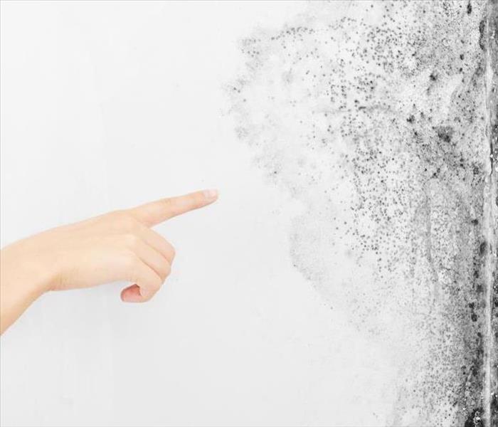 Person pointing at mold growth on the wall